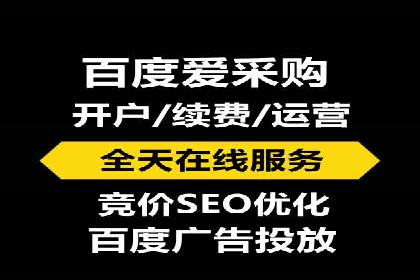 搜索引擎营销（SEM）公司某某的客户成功故事